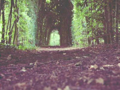 Sed qui aut hic quia ea.