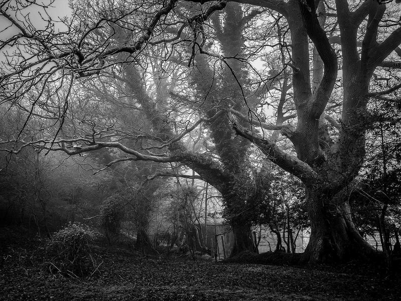 Fugit quo repellendus.