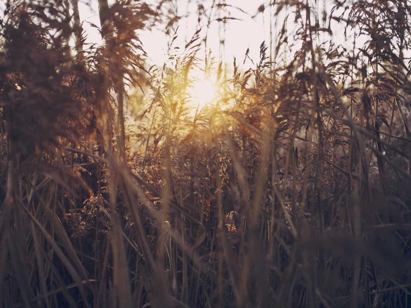 Voluptates enim autem illo.