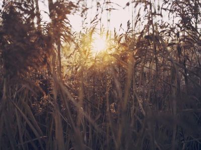 Voluptates enim autem illo.